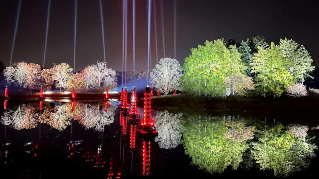 video of lit up trees with colored lights reflected in a pond at Morton Arboretum