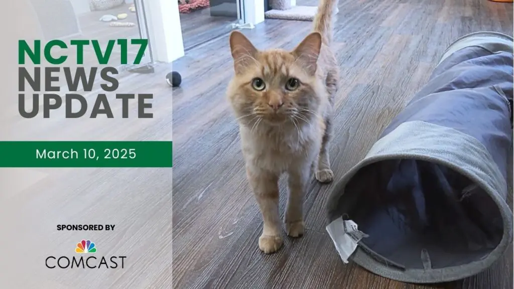 NCTV17 News Update slate for March 10, 2025 with cat from pet shelter in background