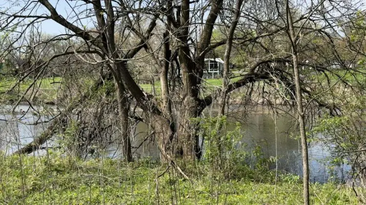 Riverbank and river area at Burlington Park Forest Preserve in Naperville near where body was found in water