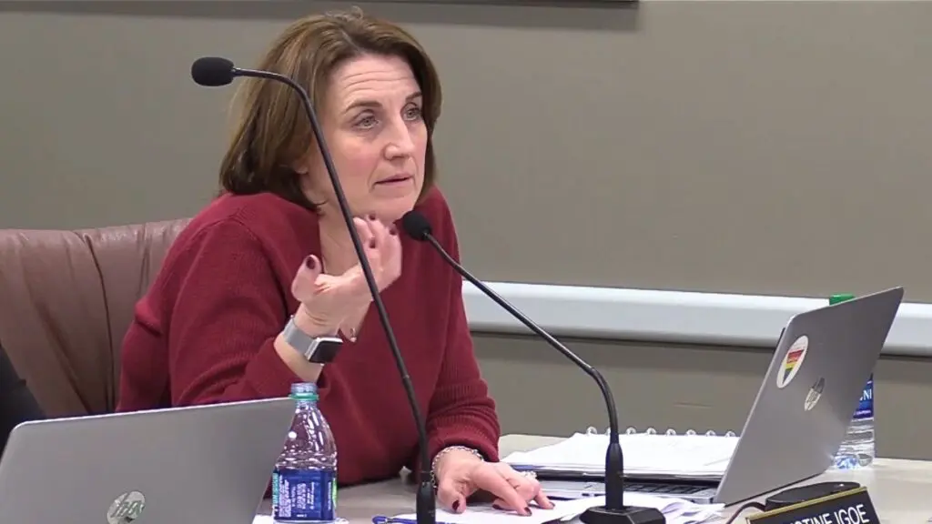 Christine Igoe, new assistant superintendent of student services at IPSD 204, seated at table and talking into microphone at meeting