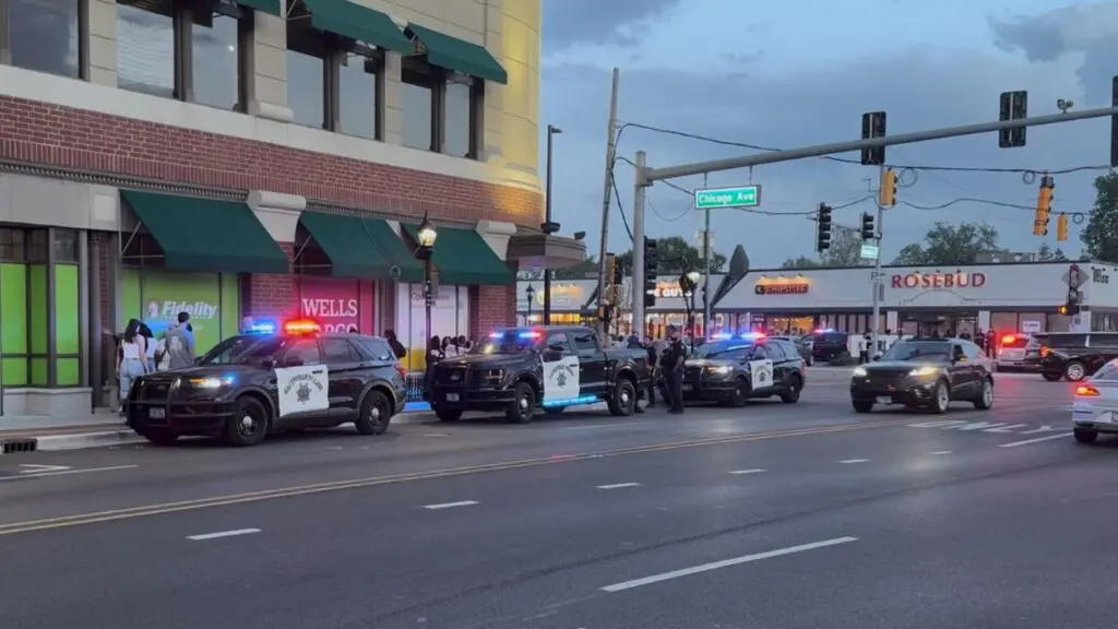 Naperville police officers and three squad cars parked in downtown Naperville night of large gathering