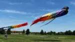 A giant, rainbow fish kite soars in blue skies over a grassy field.