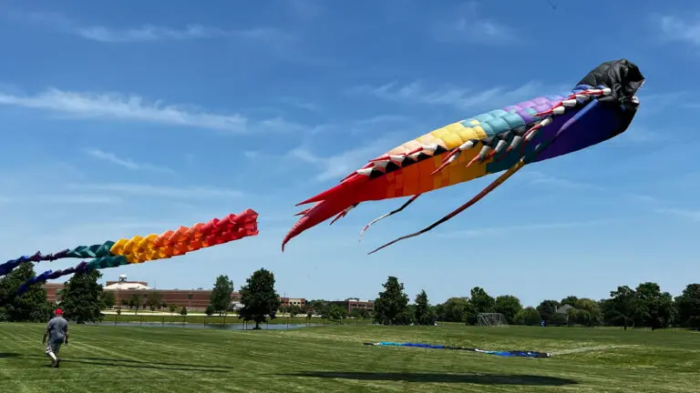 A giant, rainbow fish kite soars in blue skies over a grassy field.
