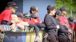 Benet Academy Baseball stand in the dugout before taking on Neuqua Valley.