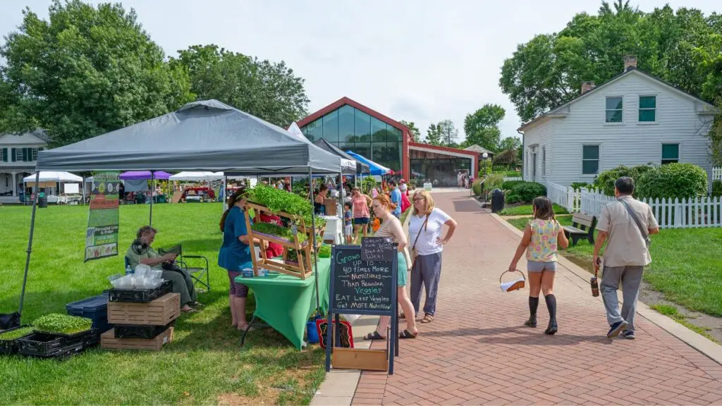 People shopping at a booth at Naper Settlement Farmers Market