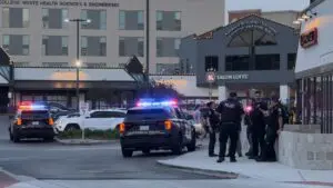 Naperville police offficers stand by squad car in River District Friday night