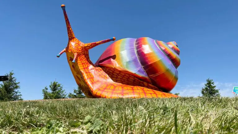 The giant snail sculpture from Vivid Creatures