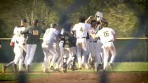 Waubonsie Valley baseball celebrates the game winner against Naperville North.