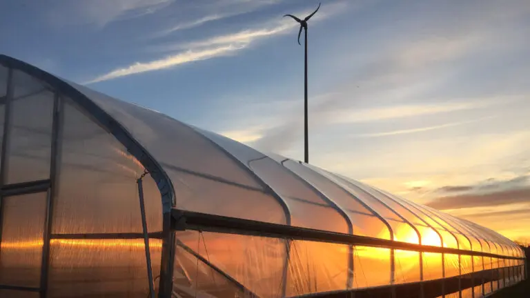 Exterior of a greenhouse at sunset with a small wind turbine behind it.