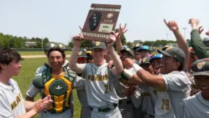 Waubonsie Valley celebrates with baseball regional