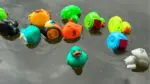 A flock of rubber ducks stand next to each other in the DuPage River during the Riverwalk Duck Race.