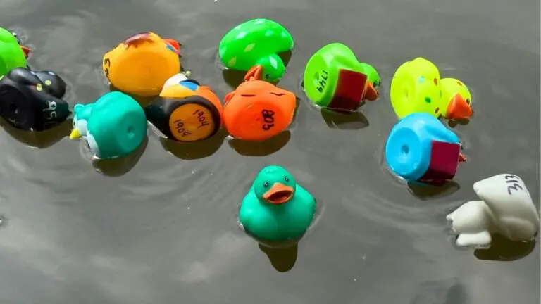 A flock of rubber ducks stand next to each other in the DuPage River during the Riverwalk Duck Race.
