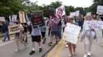 Protestors march in Naperville against President Donald Trump as part of nationwide No Kings mass protest