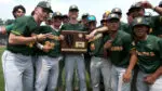 Waubonsie Valley baseball celebrates with sectional title