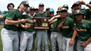 Waubonsie Valley baseball celebrates with sectional title