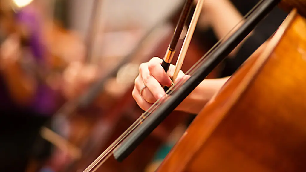 Close up of a hand plucking the strings of a cello while holding the bow.