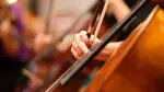Close up of a hand plucking the strings of a cello while holding the bow.