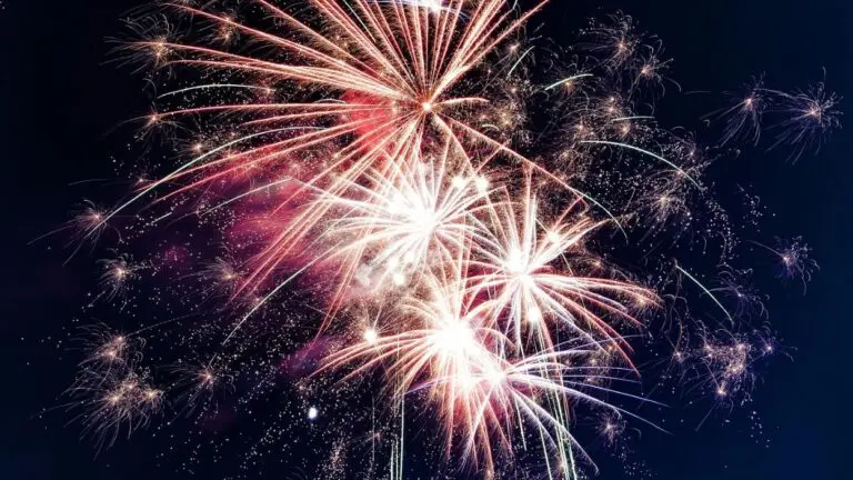fireworks display in night sky