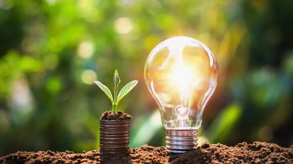 a light bulb and a plant Naperville City Council holds energy workshop before IMEA vote