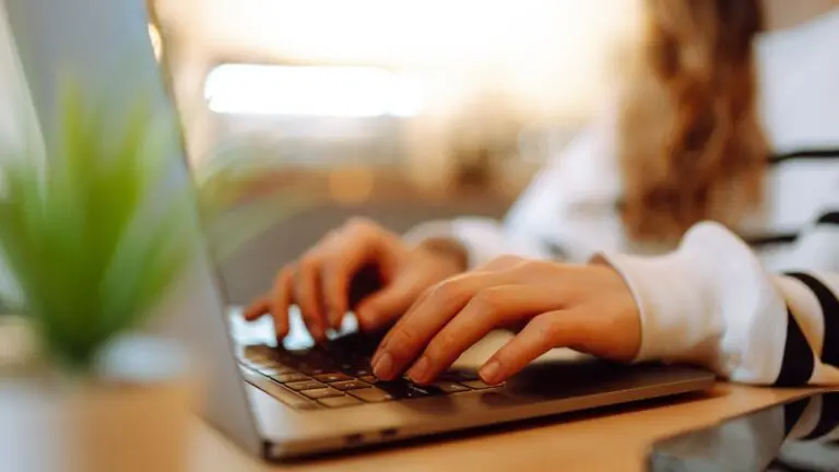 image of hands on a keyboard. E-Learning days approved for IPSD 204’s next three school year