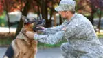 A man dressed in military fatigues pets a dog.
