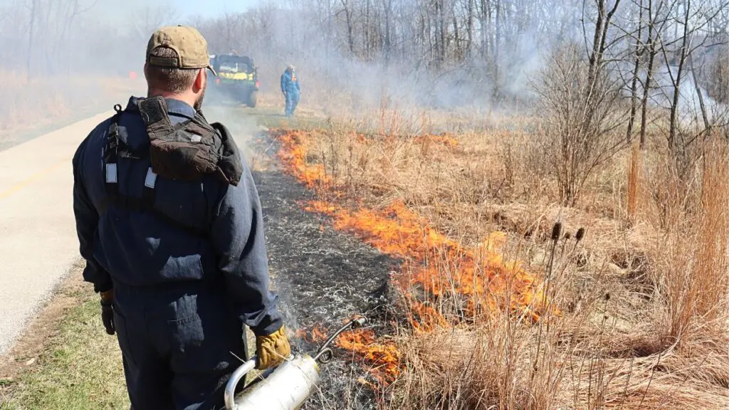 Certified Naperville Park District staff supervising prescribed burn at Knoch Knolls Park in 2024