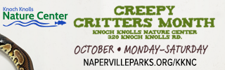 Creepy Critters Month at Knoch Knolls Nature Center