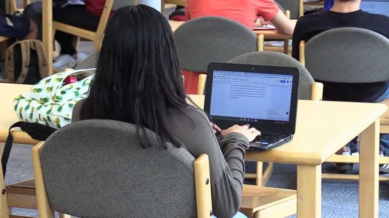 Girl sitting in front of computer at IPSD 204 school Metea Valley