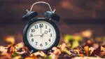 Close up of a clock sitting in a pile of autumn leaves