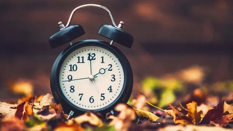 Close up of a clock sitting in a pile of autumn leaves
