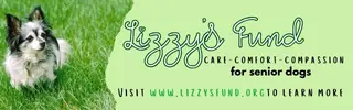 Lizzy's Fund. For senior dogs. Visit to learn more.