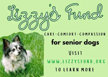 Lizzy's Fund. For senior dogs. Visit to learn more.