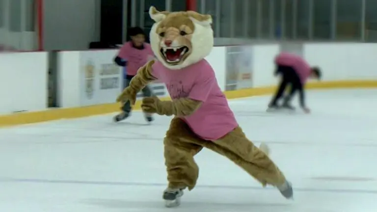 Neuqua Valley hockey paints the rink pink for a breast cancer fundraiser.