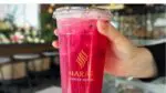 Haraz Coffee House dragon fruit matcha drink