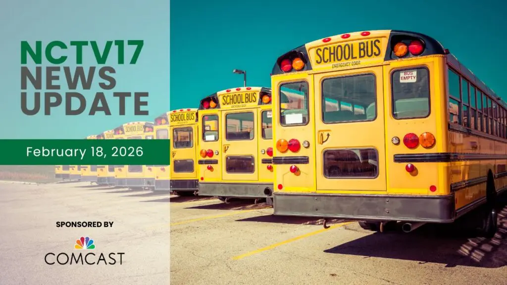 Line of school buses from the back