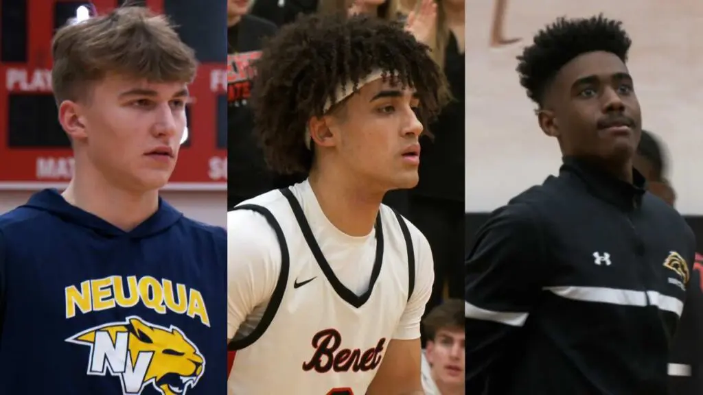 7 area boys are named to the Illinois Basketball Coaches Association all-state teams, recognizing their talents from this past season.