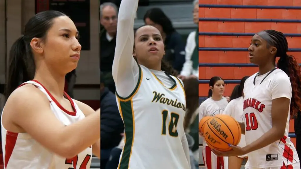 7 area girls are named to the Illinois Basketball Coaches Association all-state teams, recognizing their talents from this past season.