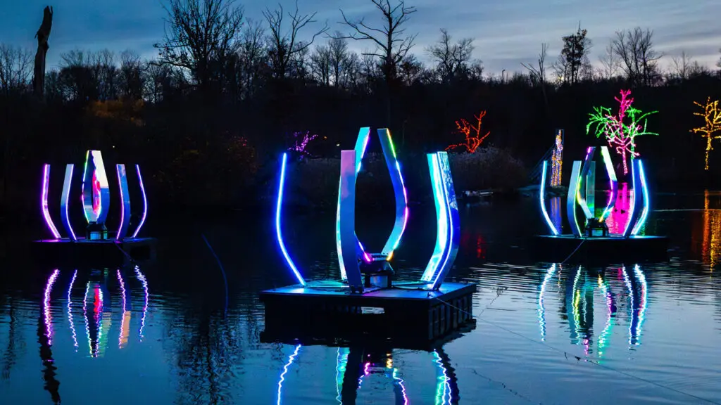 An example of what the Light Anemones art installation look like, featuring light up sculptures from arist Malte Kebbel