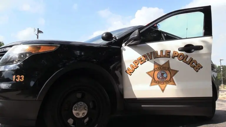 A close up photo of a Naperville Police car with the door swung open and the police seal in view.