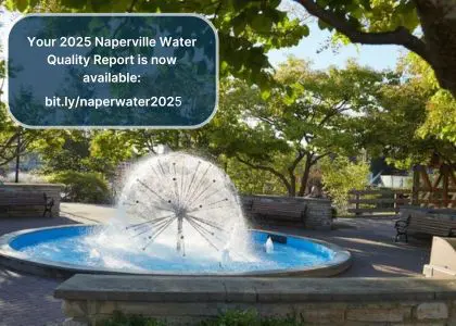 Naperville Water Quality Report is now available.