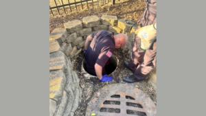Naperville firefighter climbing down sewer hole to help in duckling rescue