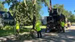 City crews working on cleanup efforts of downed tree limbs from storms on roadway