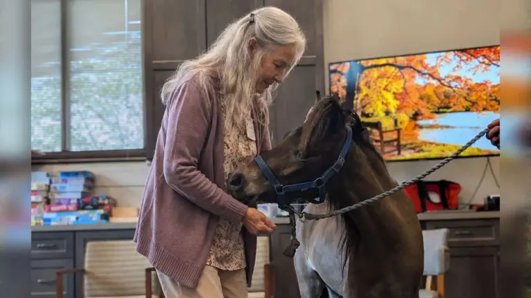 Miniature pony Coco at the Adult Day Center.