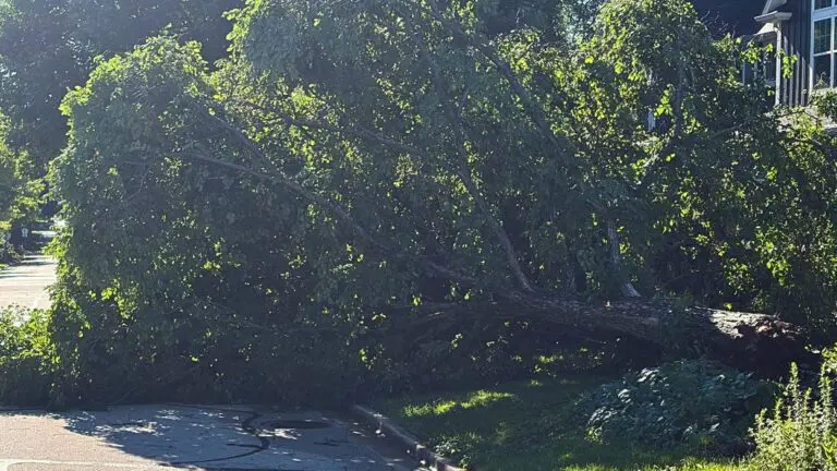 NWS reports EF-0 tornado touched down briefly in Naperville Thursday