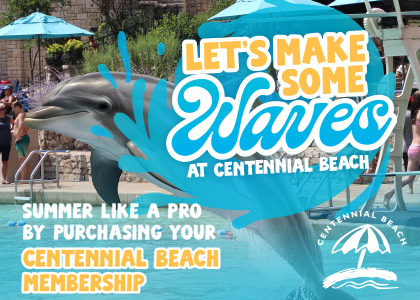 Naperville Park District. Lets make some waves at Centennial Beach.