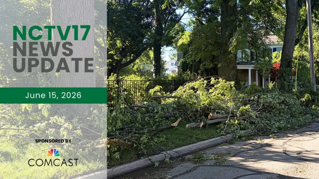 Trees fallen during a thunderstorm and tornado watch in Naperville are seen arranged on the grass.