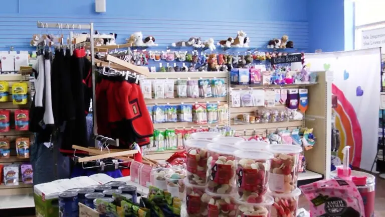 wide look inside Two Bostons Pet Boutique in downtown Naperville