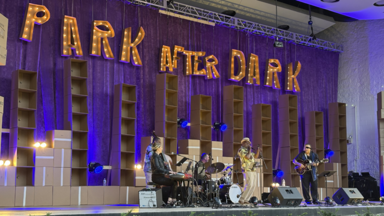 Performers on stage at Park After Dark