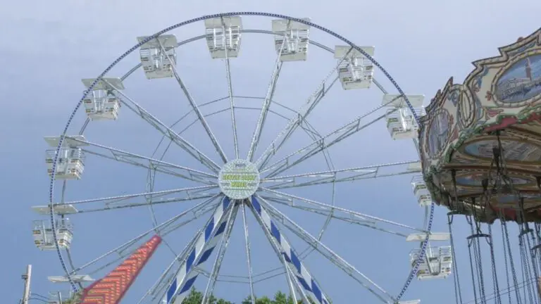 Ferris Wheel at DuPage County Fair