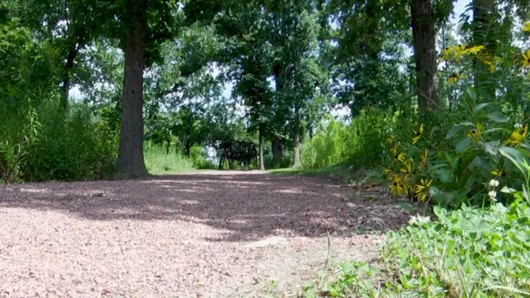 Gravel path surrounded by flowers at Hidden Oaks Nature Center